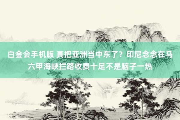 白金会手机版 真把亚洲当中东了？印尼念念在马六甲海峡拦路收费十足不是脑子一热