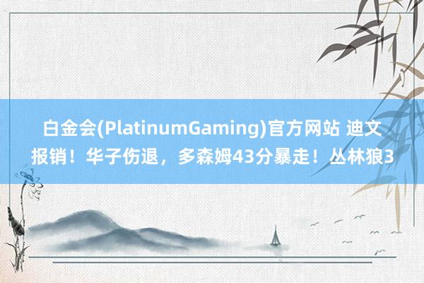 白金会(PlatinumGaming)官方网站 迪文报销！华子伤退，多森姆43分暴走！丛林狼3