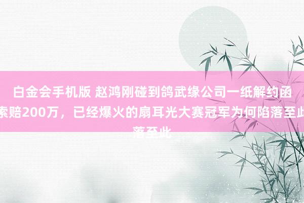 白金会手机版 赵鸿刚碰到鸽武缘公司一纸解约函索赔200万，已经爆火的扇耳光大赛冠军为何陷落至此