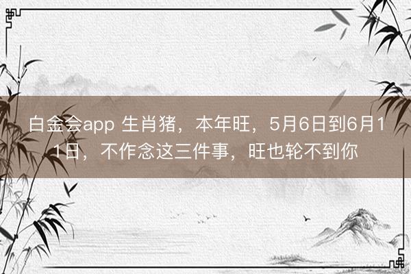 白金会app 生肖猪，本年旺，5月6日到6月11日，不作念这三件事，旺也轮不到你